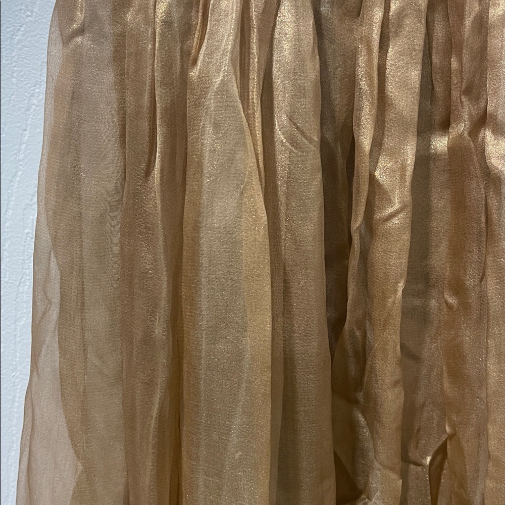 Elegant L’Oro Di Seta Sheer Dress - Picture 3 of 9
